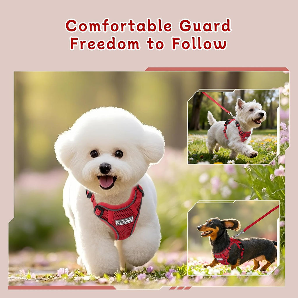 Small Dog Harness and Leash Set, Adjustable Small Sized Pet Vest