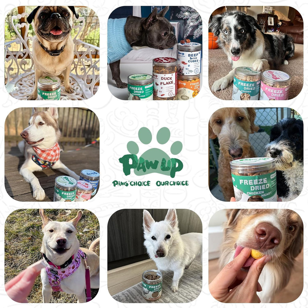 PAWUP Freeze Dried Chicken Necks Dog Treats，4.2 oz