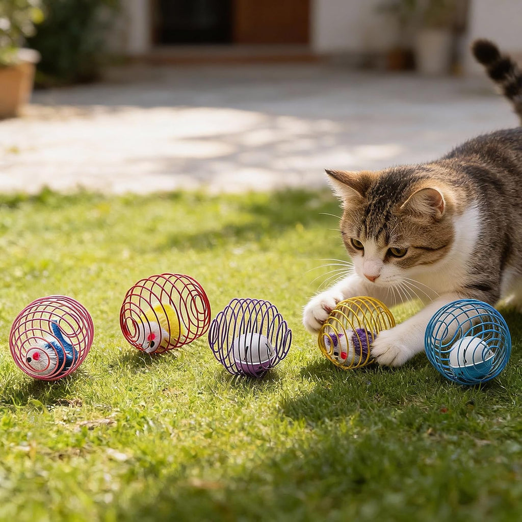 Jecery 5 Pcs Cat Toys Spring,Mouse and Bell,Mix Colors
