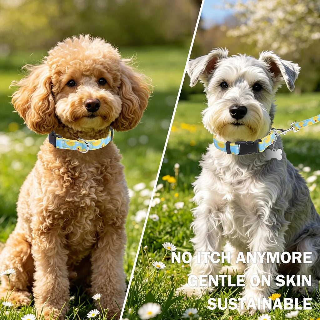 Dog Collar and Leash Set, Adjustable Pet Collars with 5FT Leash