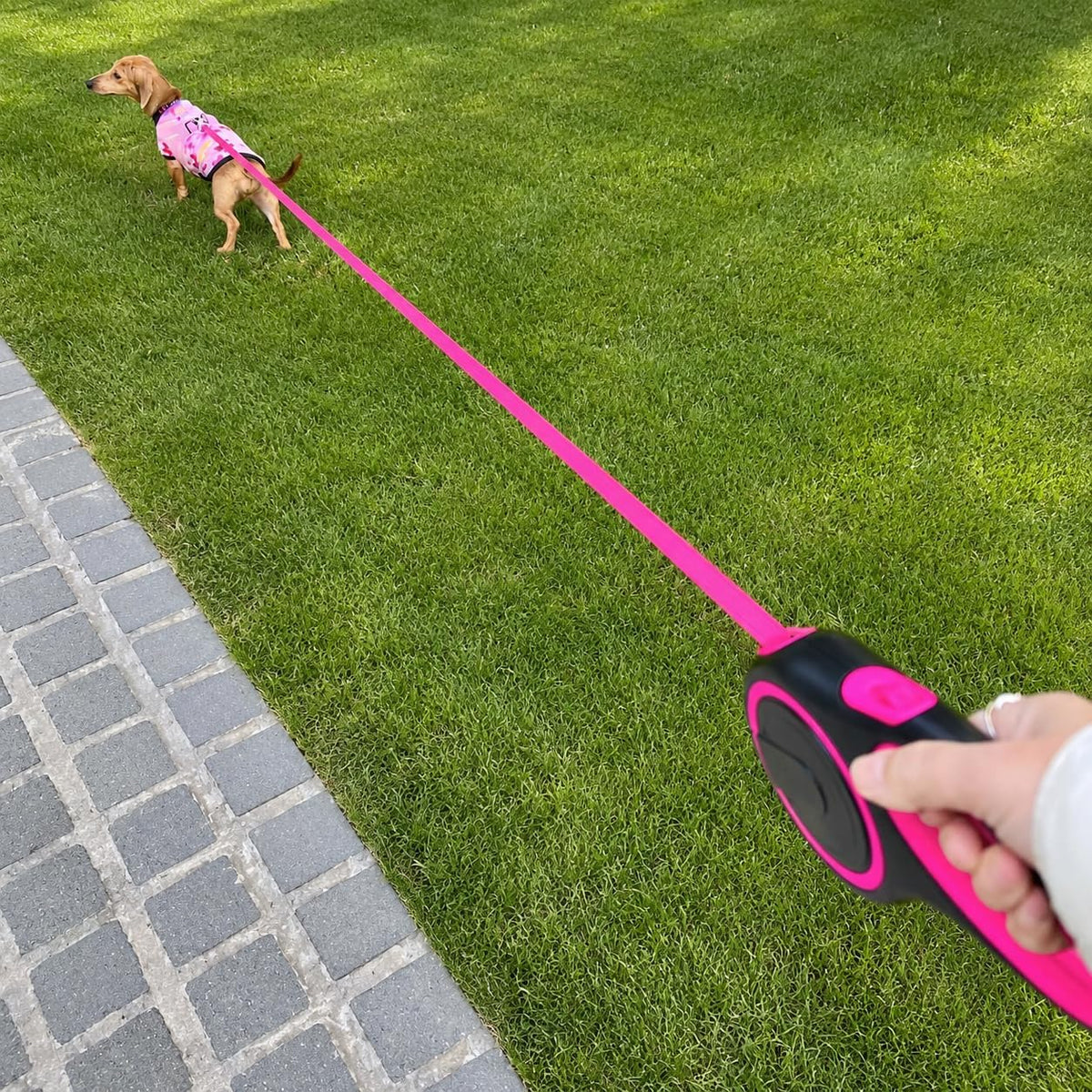 Retractable Dog Leash, 44 LBS /16FT Long, Small & Medium Dogs, Pink
