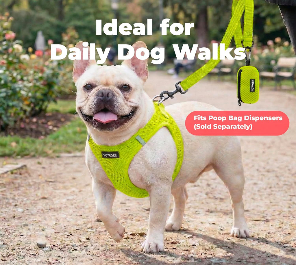 Best Pet Supplies Voyager Nylon Dog Leash - Lime Green, Small