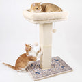 Cat Scratching Post with Bed for Indoor Adult Cats, Cat Perch,White