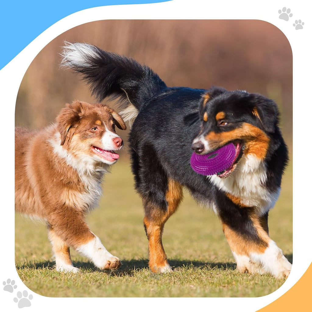 Silipull 4 Pcs Spiky Dog Toy Ball for Large Dogs, Fresh, Various Sizes