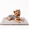 Dog Bed Mat - Durable & Cute Crate Dog Beds for Small Dogs & Cats, Comfortable Kennel Pad for Home, Crate & Travel