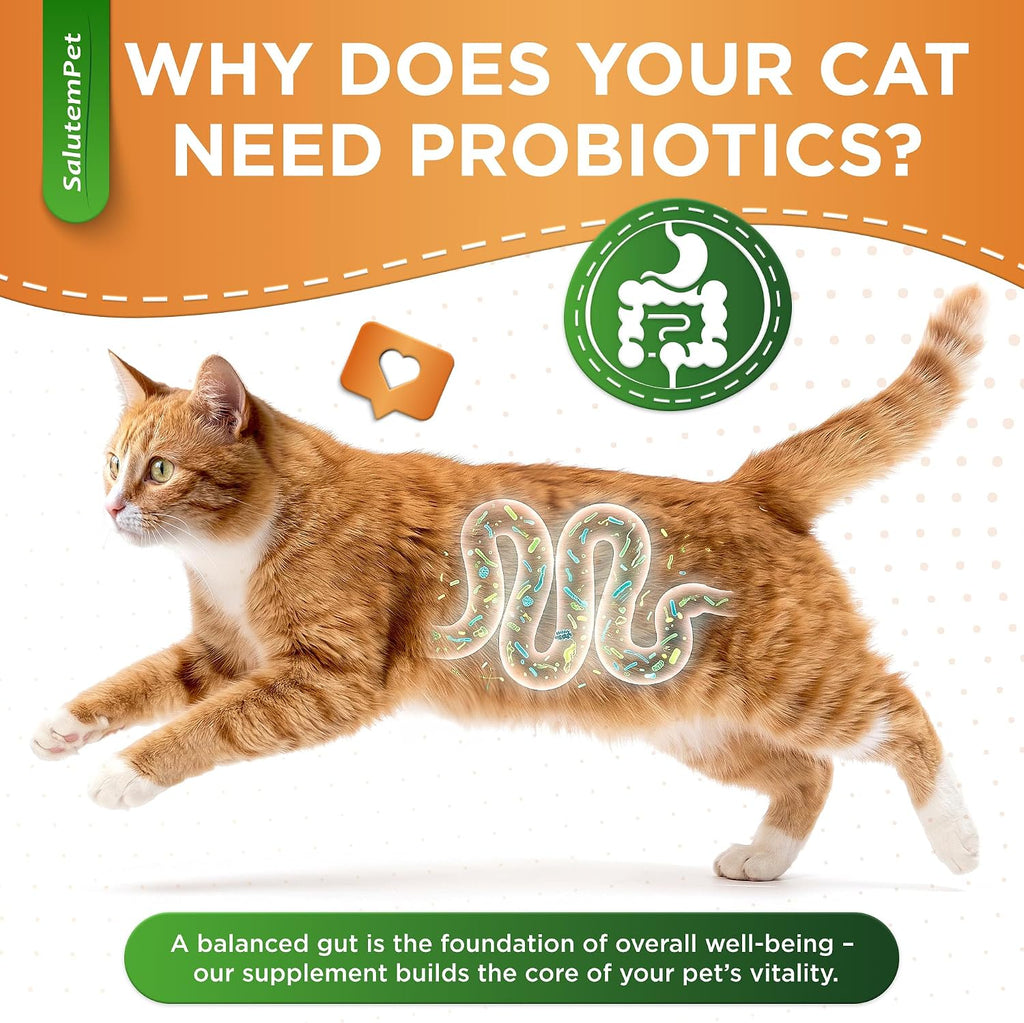 Cat Probiotic Helps with Colic, Upset Stomach, Diarrhea, Gas, and Bloating – Advanced Prebiotics & Probiotics for Cats Digestive Support – Enriched with Chicken Flavor – 2 Oz
