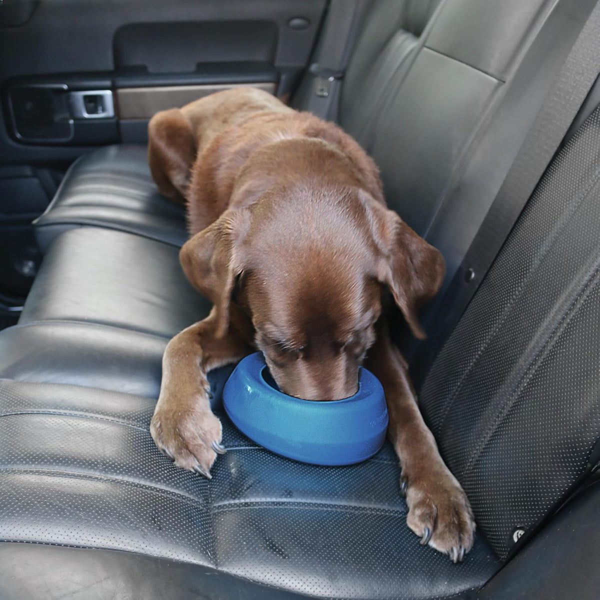 Kurgo Splash Free Wander Dog Water Bowl, Blue | No-Spill Travel Bowl for Dogs, Holds up to 24oz, Wedge Design Lays Flat on Car Seat, Food-Grade Silicone, BPA-Free 