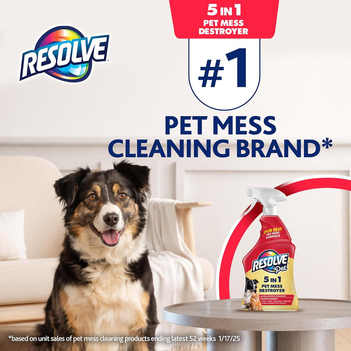 Resolve® 5-in-1 Pet Carpet Cleaner Spray for Stains & Odors, 22oz