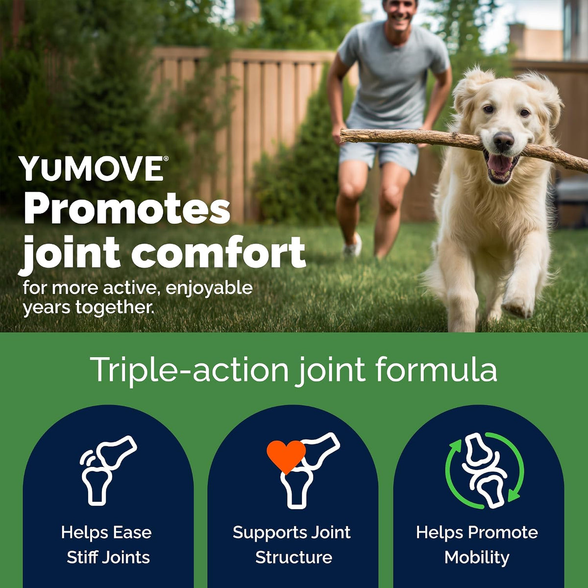 YuMOVE Senior Dog Joint Supplement Glucosamine & Green Lipped Mussel 240ct