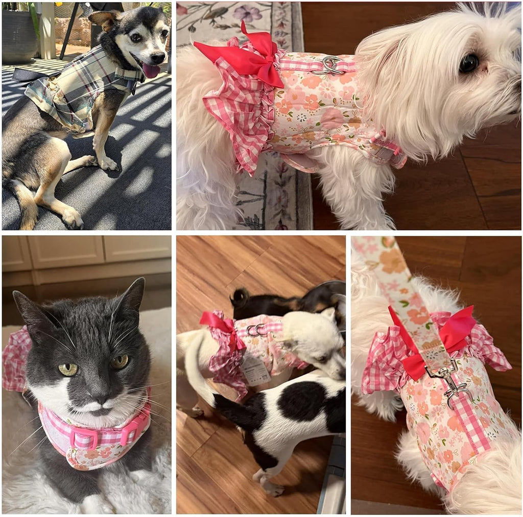 SCENEREAL Small Dog Harness and Leash Set Girl, Cute Dog Harness Dress