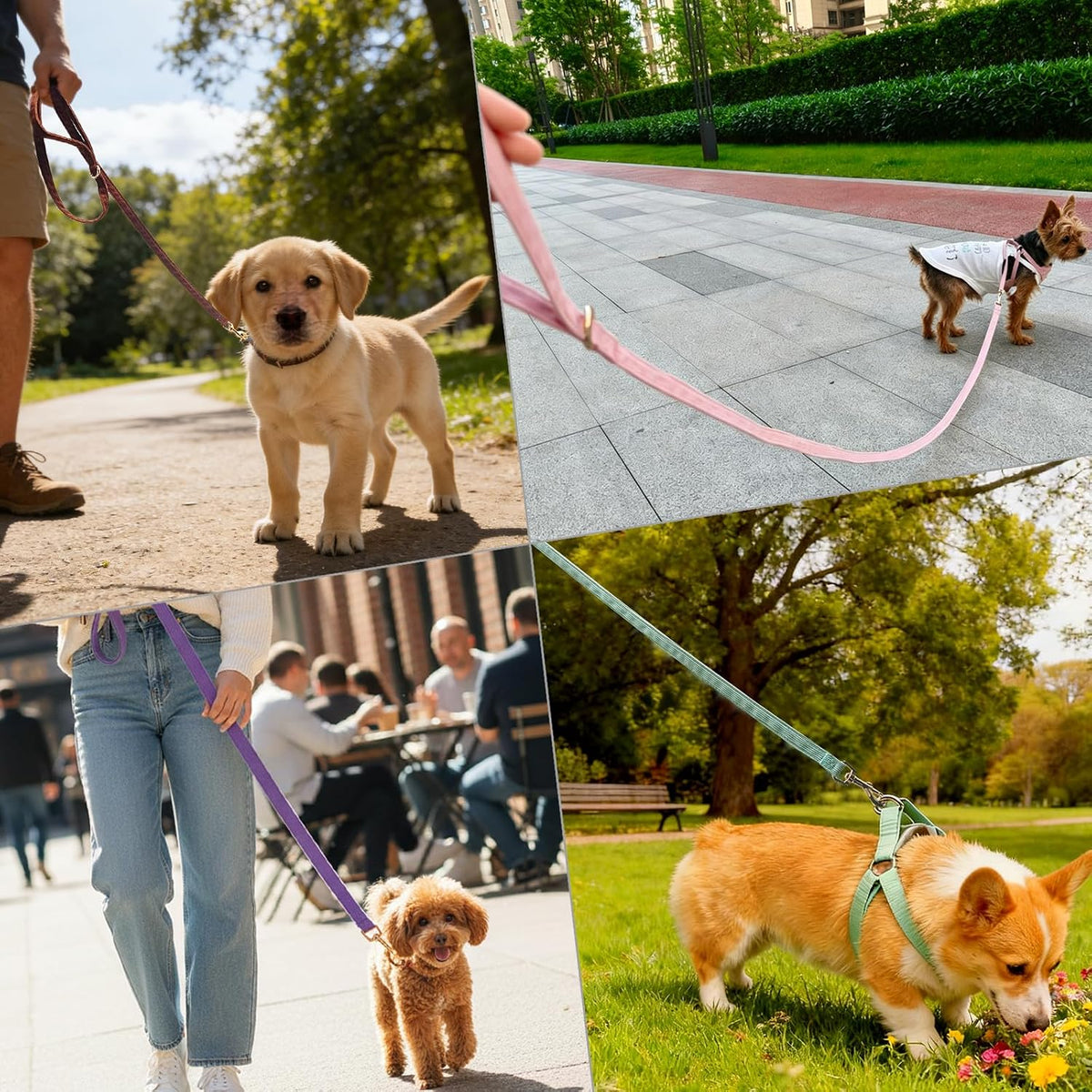 Cotton Dog Leash for Small Dogs 4ft 6ft Puppy Walking Training Lead