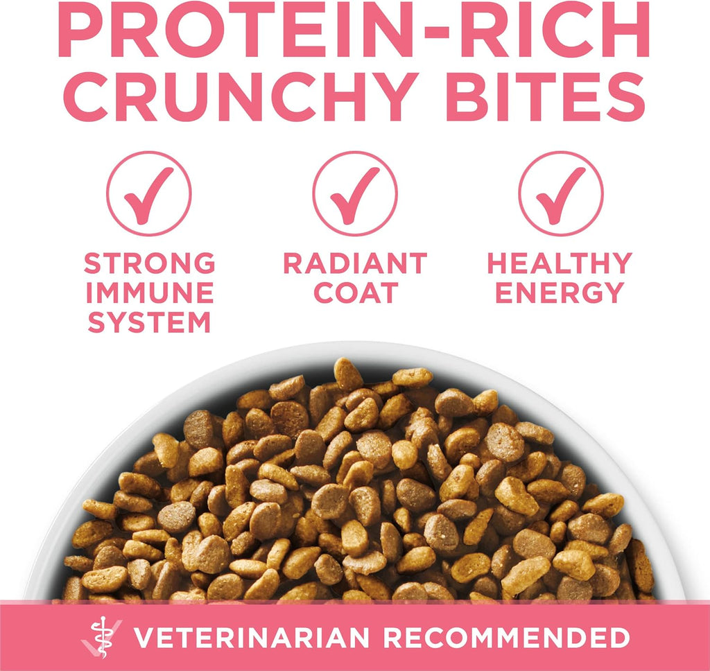 Purina ONE High Protein Natural Kitten Dry Cat Food, 7 lb Bag