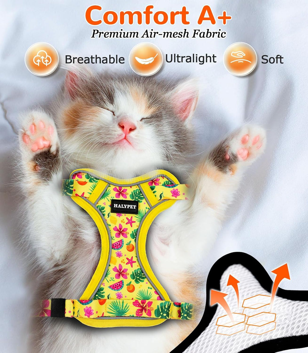 Halypet Cat Harness and Leash Set, Escape Proof Adjustable Harness