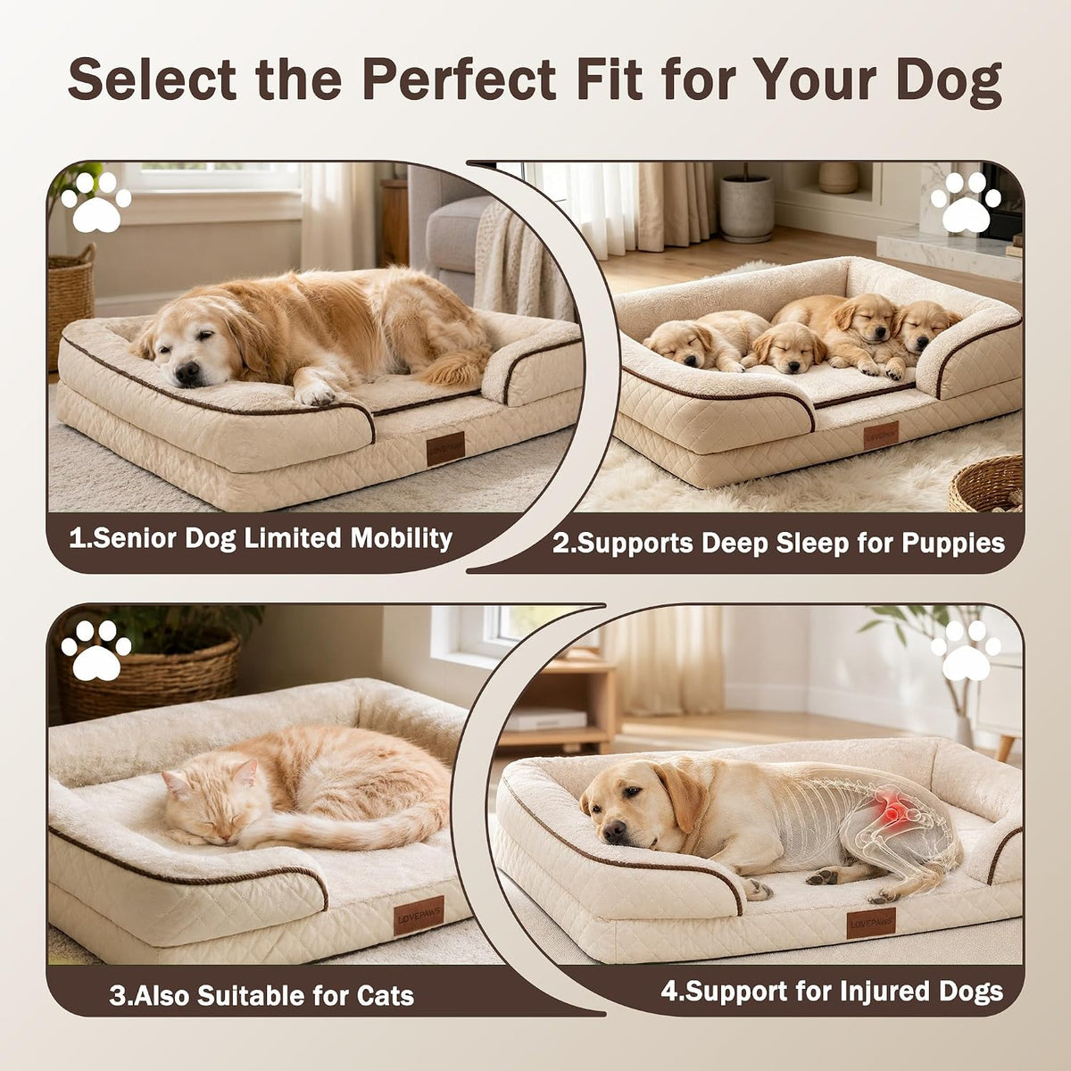 Dog Bed with Reusable Potty Pad - 44.5" x 33.5" x 6.7" Beige