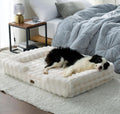 COZY KISS Warm Orthopedic Extra Large Dog Bed, XL 44x32 inch, Beige