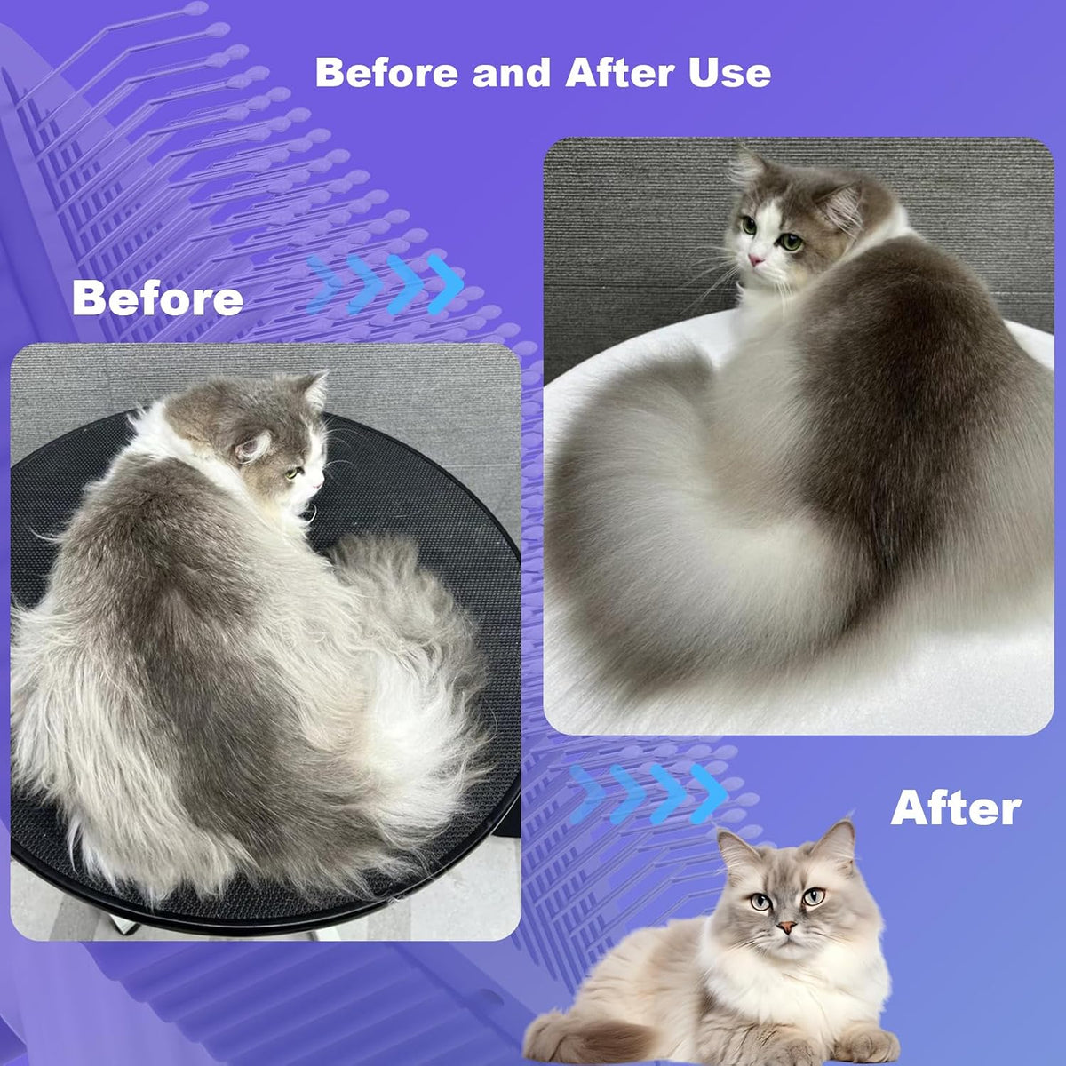 Cat brush, Cat Brush for Long or Short Haired Cats