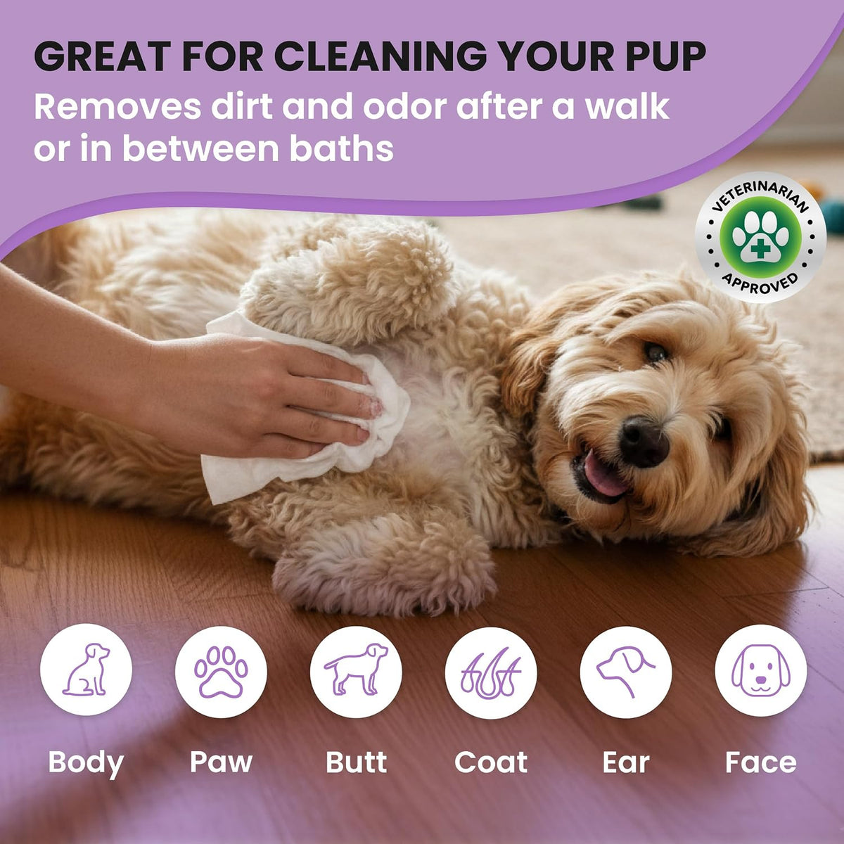 Dog Wipes, Deodorizing & Cleaning, Lavender Scent, Made in USA, 400 Count