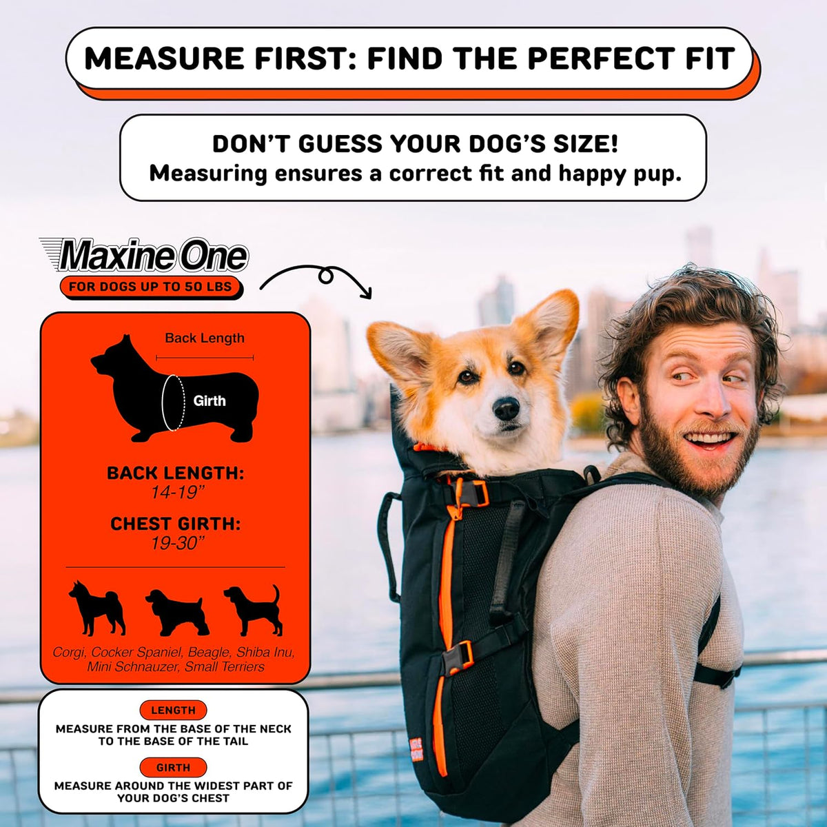 Little Chonk Maxine One Dog Backpack Carrier for Medium Dogs (Black)