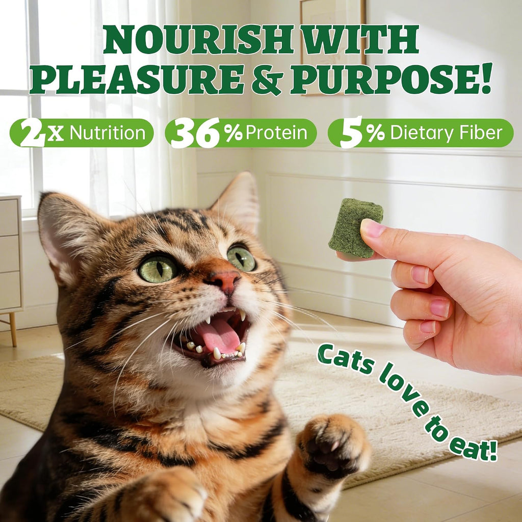 Just Try 3.52 oz Freeze Dried Cat Grass Treats Hairball Control & Healthy