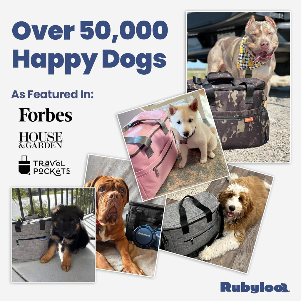 Original Doggy Bag™ Dog Travel Bag for Supplies with Travel Bowls | 2 BPA-Free Collapsible Bowls, 2 Pet Food Containers, TSA-Ready, Road Trips, Camping, Weekend Getaways, Doggy Gift, Grey 