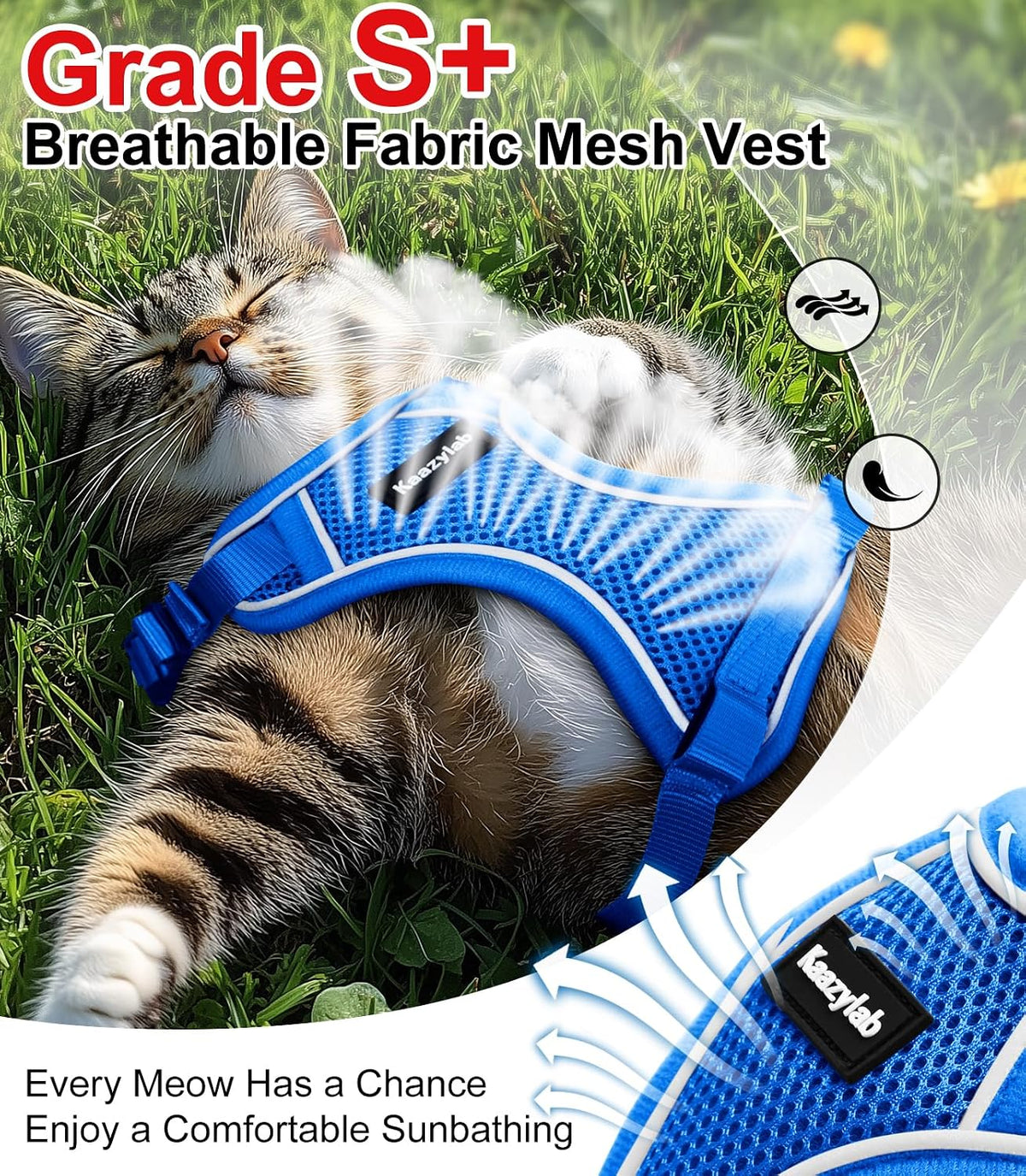 Cat Harness and Leash for Walking Escape Proof Soft Adjustable Cat Leash