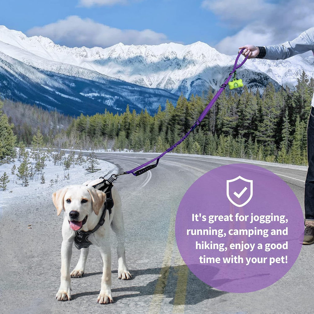IOKHEIRA Multifunctional Dog Leash for Large and Medium Dogs - Adjustable With Car Seatbelt, 4-6 FT Strong Bungee, Purple