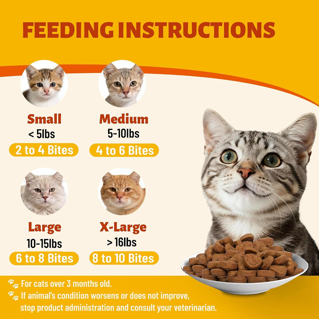 19.4oz Pumpkin Cat Treats for Digestive Health