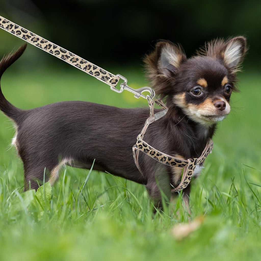Mile High Life Leopard Dog Harness Collar Leash Set, Adjustable No Pull Dog Halter Harness for Small Breed Dogs, Easy Control for Training Walking (Beige, M Chest 15"-21", Neck 13"-17")