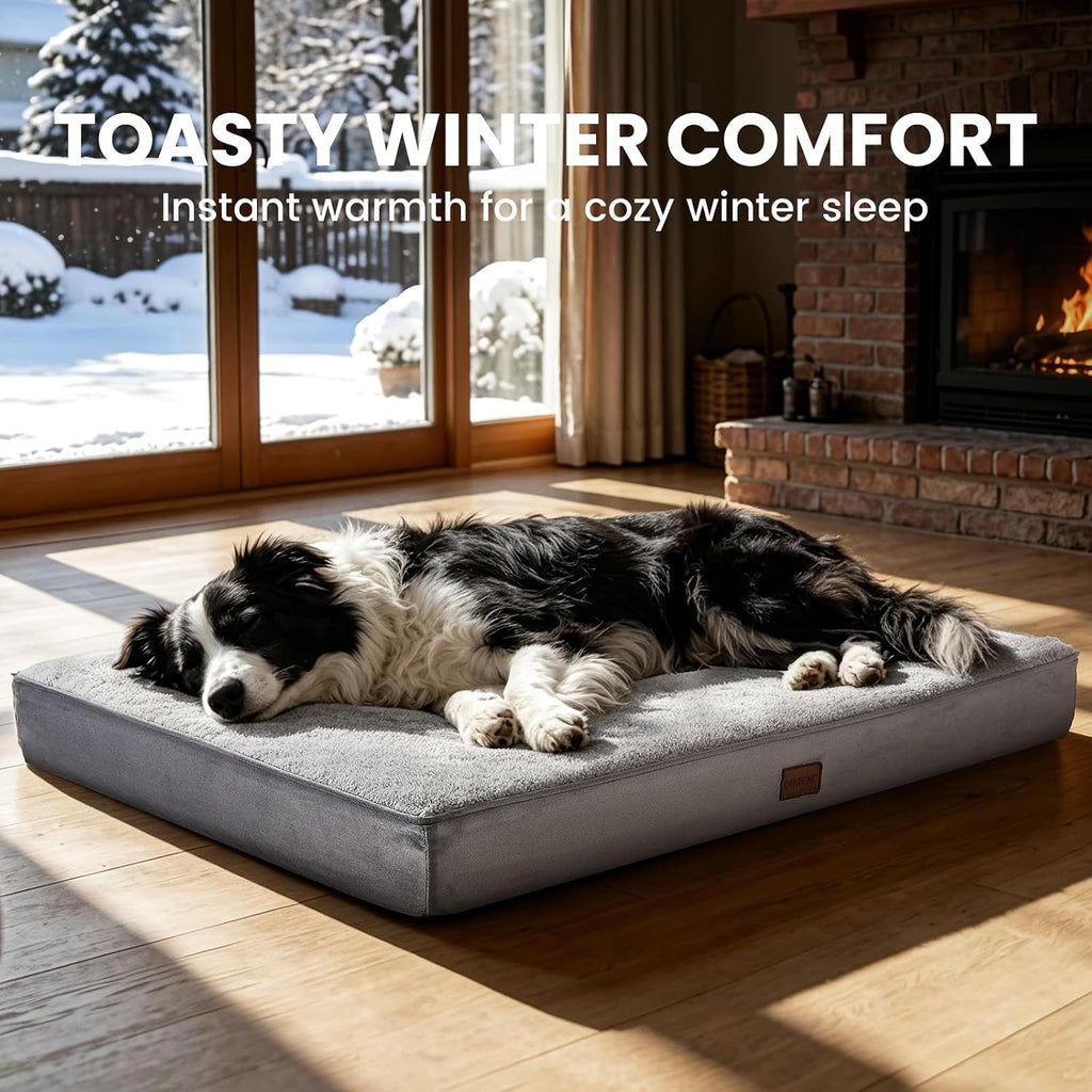 OhGeni Self-Warming Orthopedic Medium Dog Bed, Memory Foam, 36 inch-L(Gray)