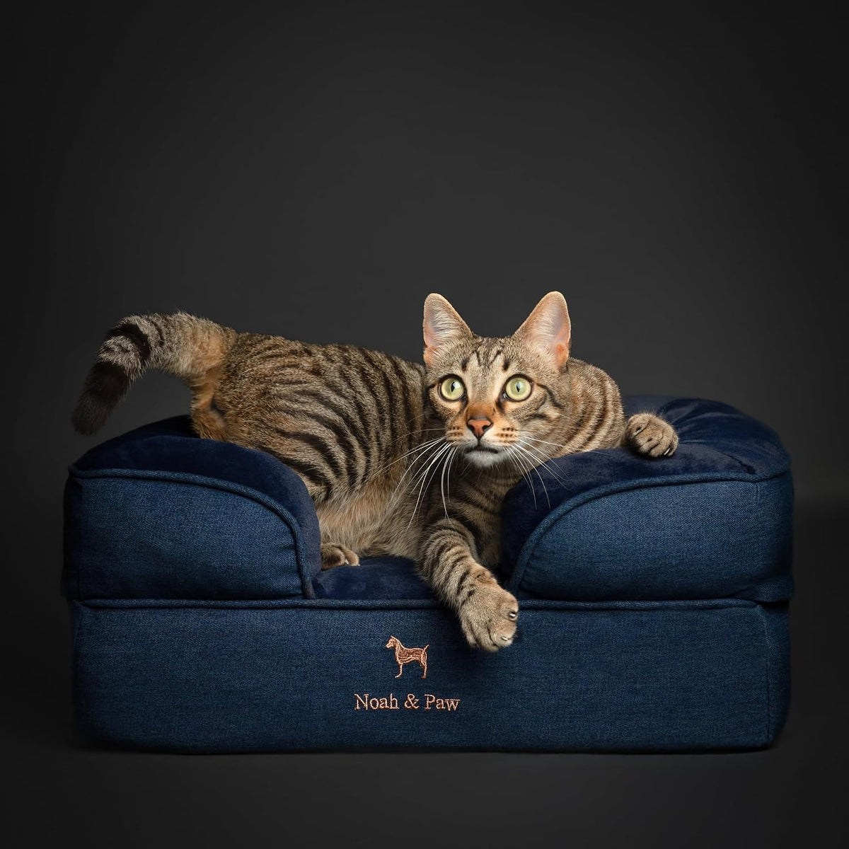 NOAH & PAW Cat Bed, XS Dog Bed, Orthopedic Memory Foam (2X Base) 20x15x8 in