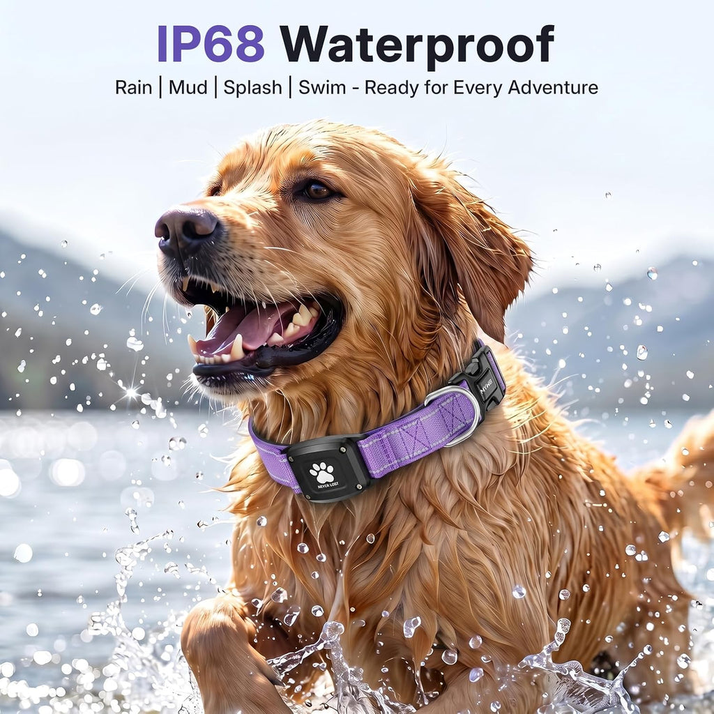 GPS Dog Collar with Tracker, Waterproof, No Monthly Fee, Purple, M