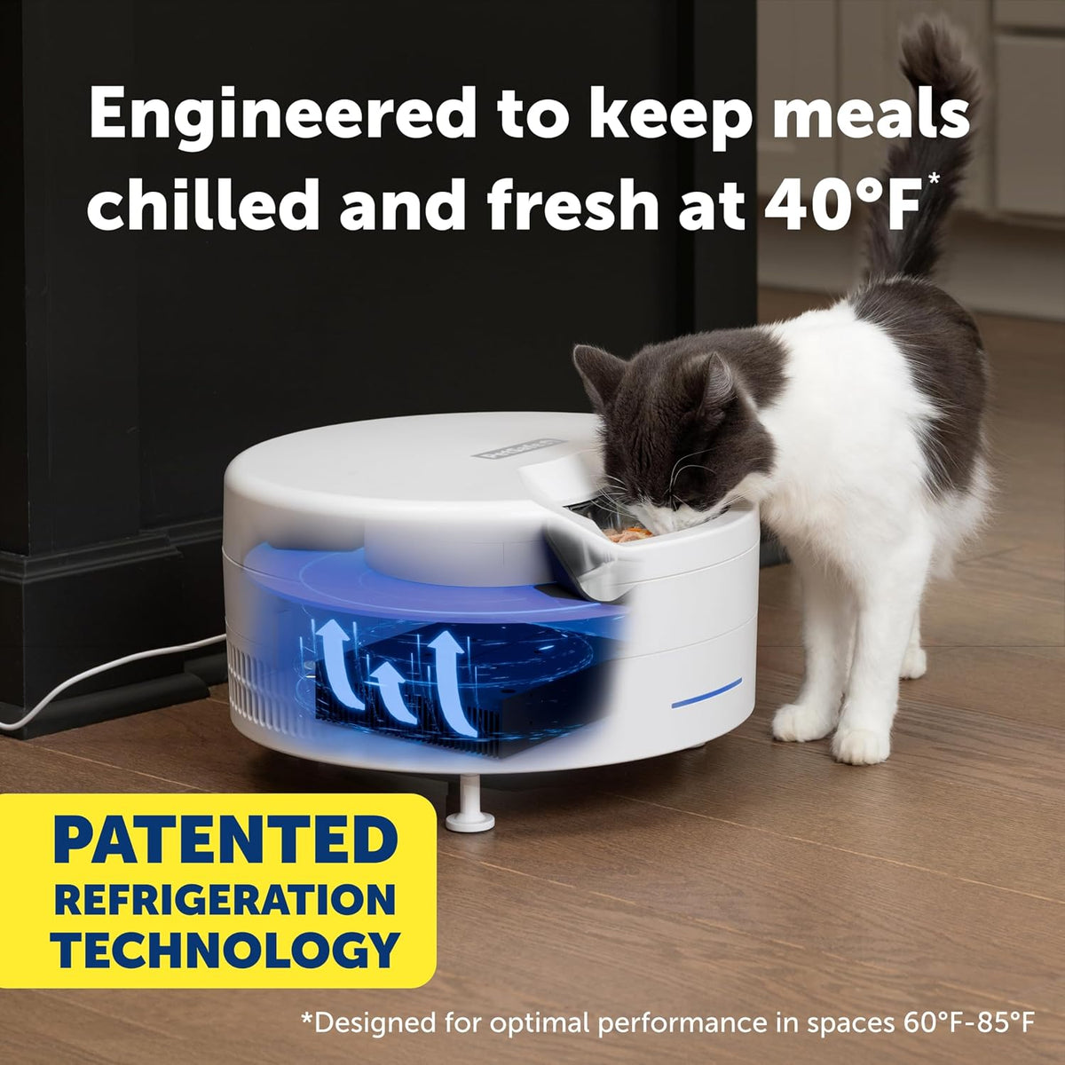 PetSafe FreshFeed Refrigerated Automatic Wet Food Feeder, 6 Meals, White