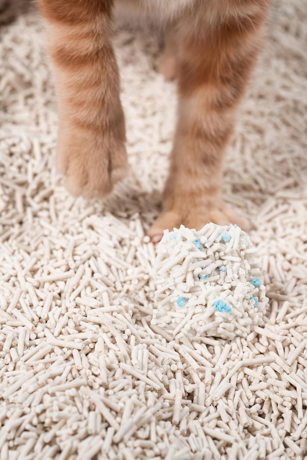 pidan Tofu Cat Litter with Occult Blood Test,Clumping,Flushable 2Pack