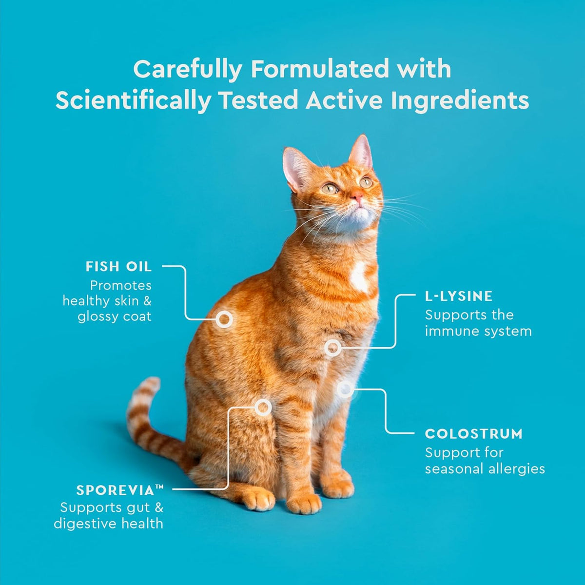 VetIQ Allergy Pro+ Cat Allergy Treats, Probiotics & Fish Oil, 3.7oz