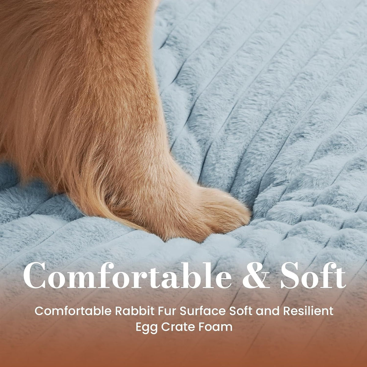 Dog Beds for Large Sized Dog, Orthopedic Foam with Waterproof Lining