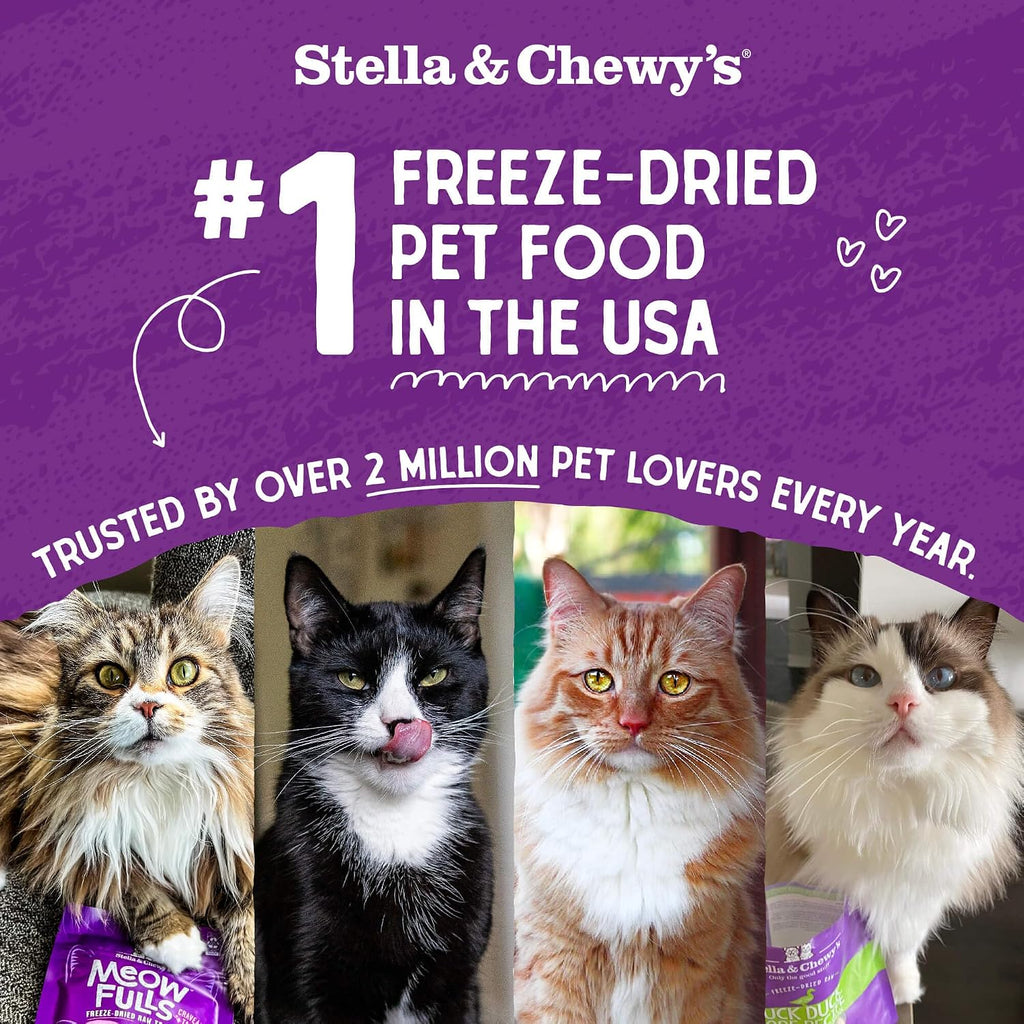 Stella & Chewy's Freeze-Dried Raw Cat Dinner Morsels - Premium Salmon & Chicken Recipe with 98% Wild-Caught & Cage-Free Protein - Natural Grain-Free Cat & Kitten Food - Made in USA - 1 oz (Pack of 6)