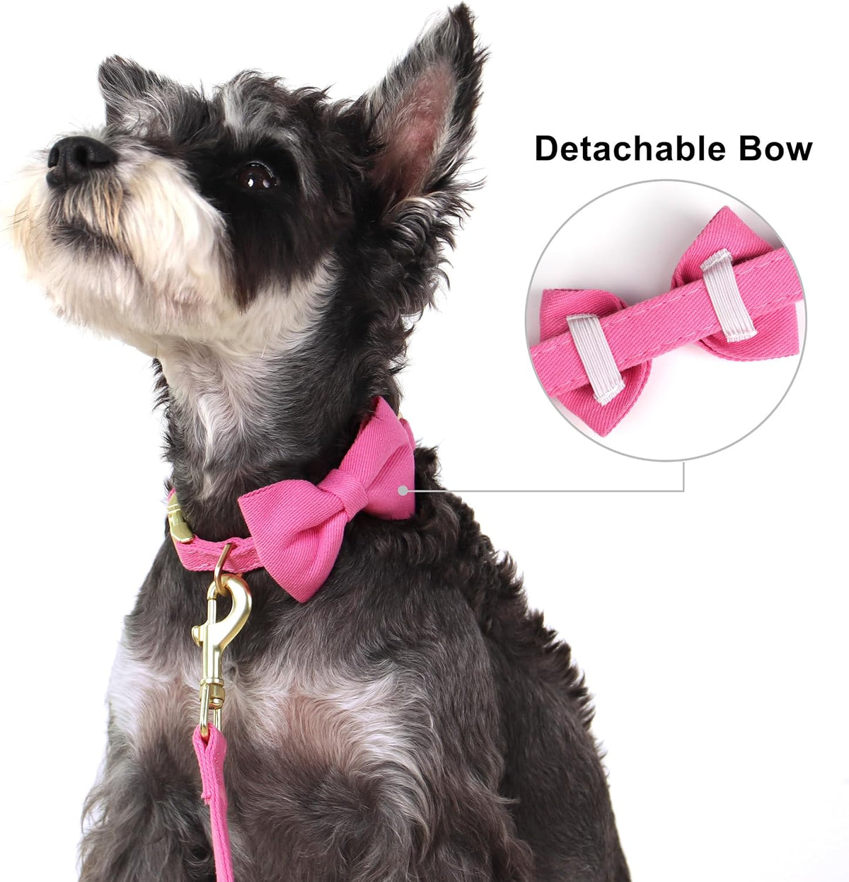 Beirui Cute Small Dog Harness Collar and Leash Set, Rose,S,Chest 17-23"