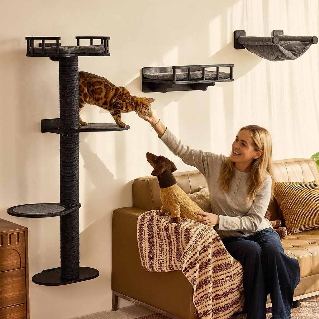 FUKUMARU Cat Wall Shelves, 4 in 1 Set, Black