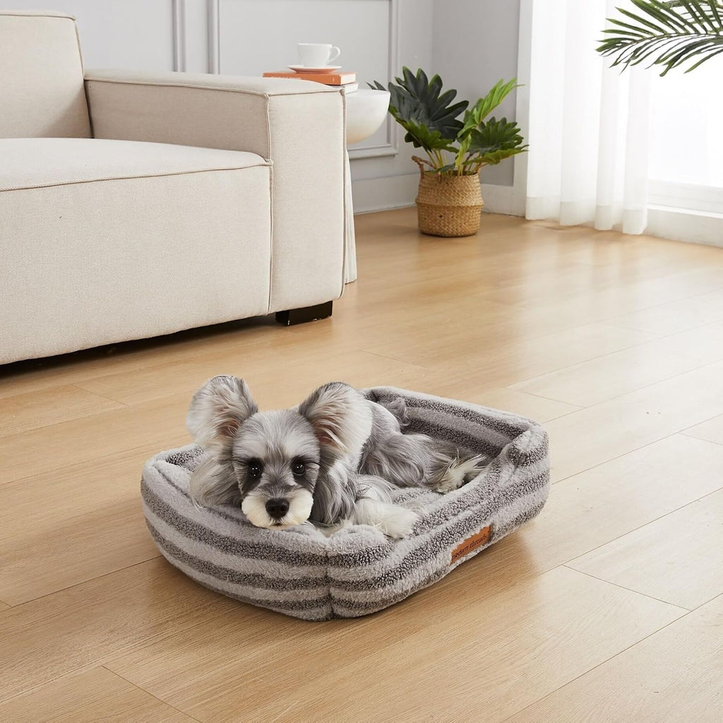 Modern Threads Ultra Soft Plush Pet Bed for Small and Medium Dogs with Elegant Texture and Stylish Design, Removable Washable Cover, Charcoal, (24" L x 20" W x 8" Th)