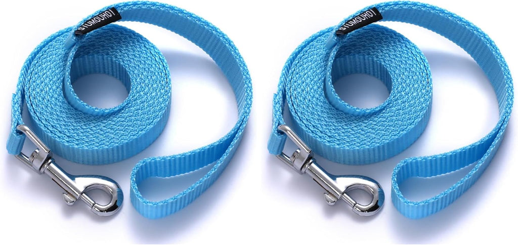 6 FT Puppy Leashes, Strong Traditional Style Leash with Easy to Use Collar Hook,Dog Lead Great for Small and Medium and Large Dog (Mint Blue, 5/8 in x 6 ft) (Pack of 2)
