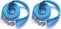 6 FT Puppy Leashes, Strong Traditional Style Leash with Easy to Use Collar Hook,Dog Lead Great for Small and Medium and Large Dog (Mint Blue, 5/8 in x 6 ft) (Pack of 2)