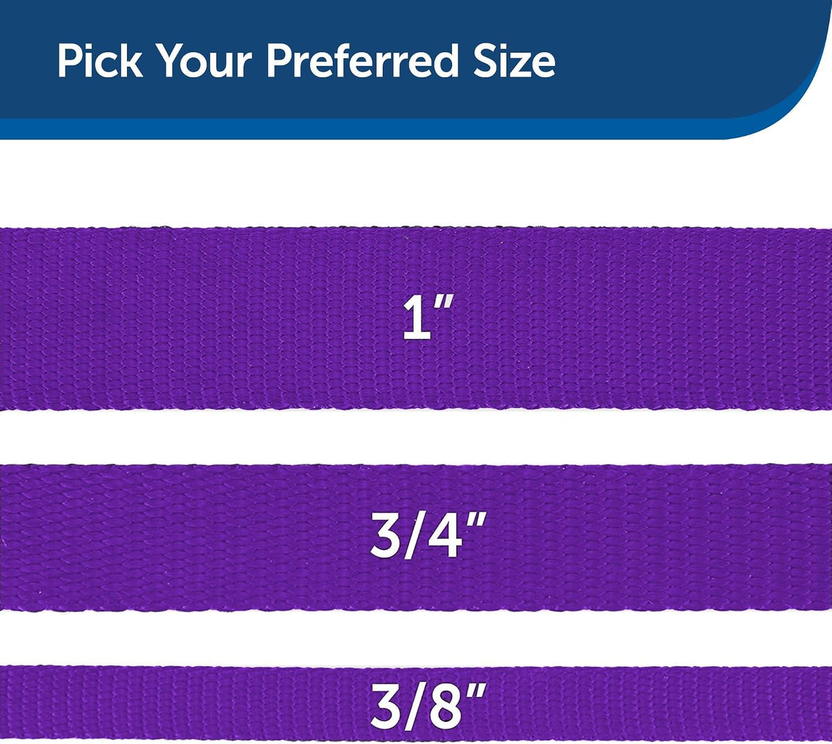 PetSafe Nylon Dog Leash - Strong, Durable, Traditional Style Leash with Easy to Use Bolt Snap - 1 in. x 6 ft., Deep Purple