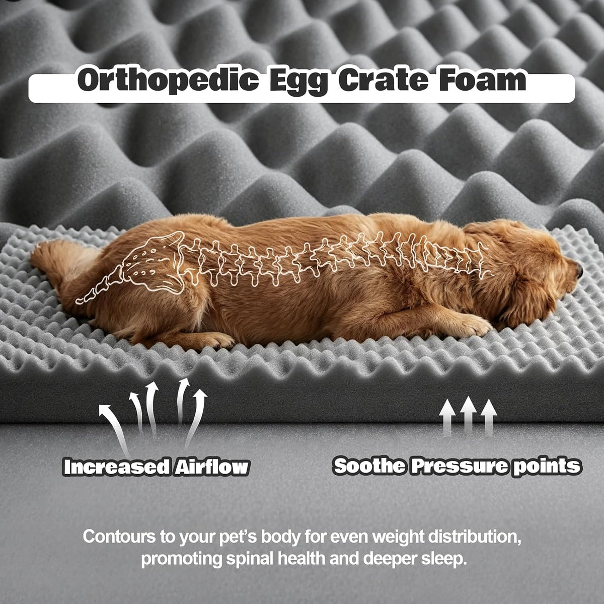 Orthopedic Dog Beds Large Sized Dog, 2-Pack Washable Covers, 36" L