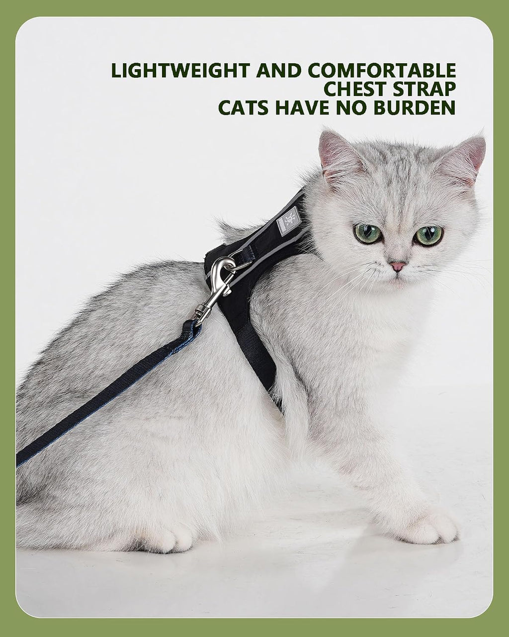 Cat Harness and Leash Set with Reflective Strips, Escape Proof Adjustable Vest, Premium Taffeta Fabric Soft Lightweight, Tear Resistant, for Kitten Small Cats Outdoor Walking (Black, S)