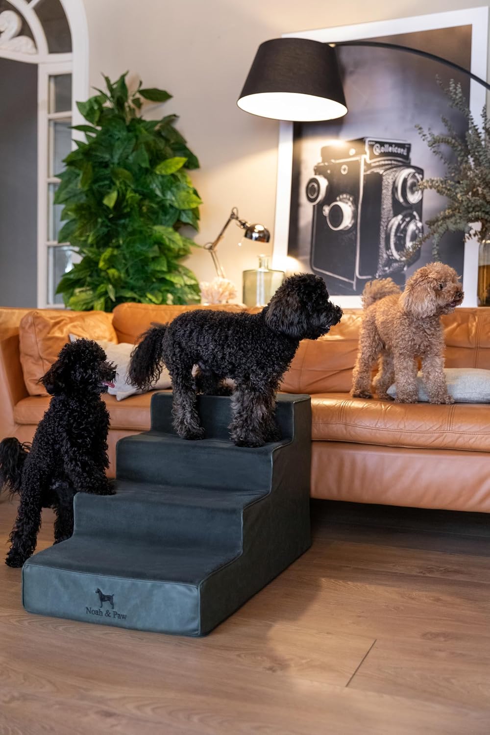 Noah & Paw Dog Steps for Bed, Up to 150lb, Extra Wide Dog Stairs for Bed