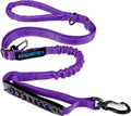 IOKHEIRA Multifunctional Dog Leash for Large and Medium Dogs - Adjustable With Car Seatbelt, 4-6 FT Strong Bungee, Purple
