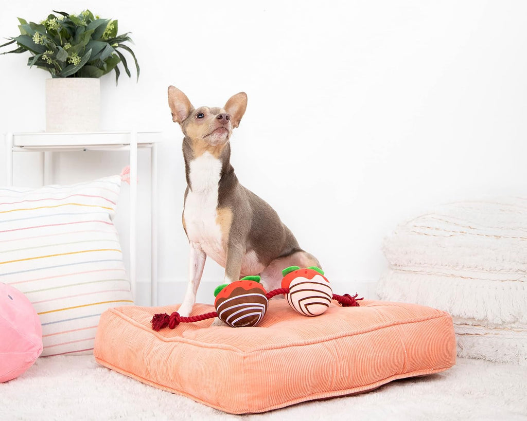 Pearhead “You’re Berry Cute” Valentine’s Day Dog Toy – Plush Strawberry Squeaker & Rope Tug Toy, Interactive Crinkle Chew Toy for Dogs, Festive Valentine Pet Gift
