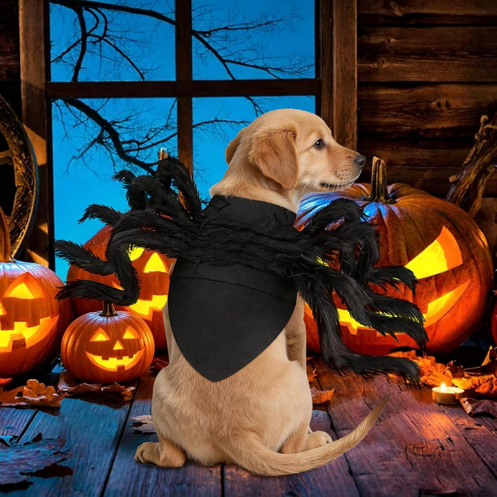 Halloween Spider Costume for Dog, Halloween Pet Costume Halloween Decorations, Spider Decor Halloween Party Supply, Spider Cosplay Costumes with Adjustable Velcro for Small Medium Dogs and Cats