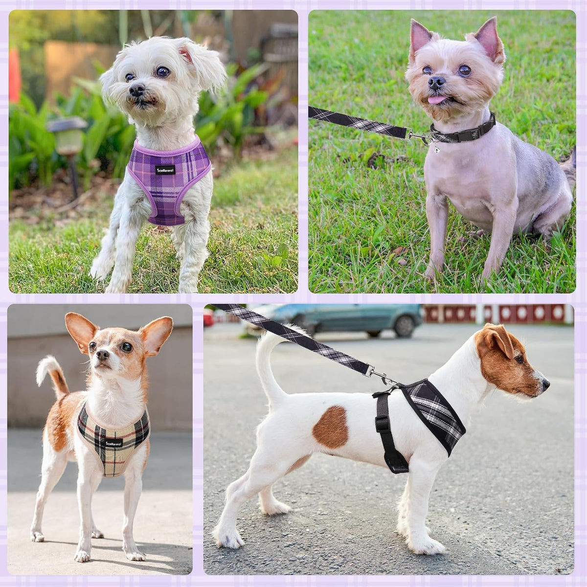 SCENEREAL No Pull Dog Harness and Leash Set Small Medium Sized Dog