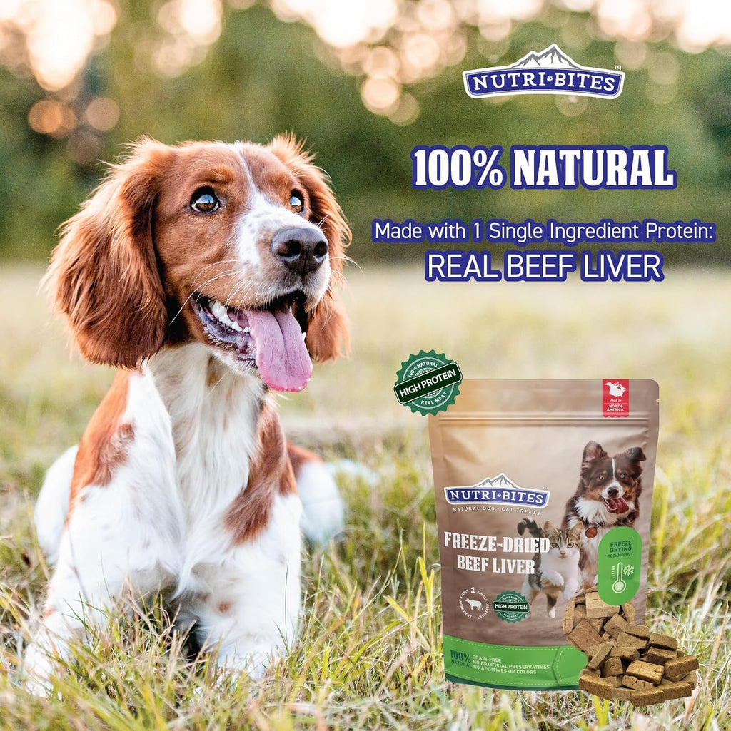 Nutri Bites Freeze Dried Beef Liver Dog & Cat Treats, Single Ingredient (2-Pack)